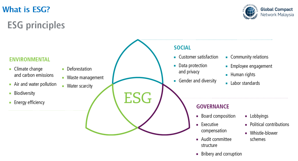 What is esg